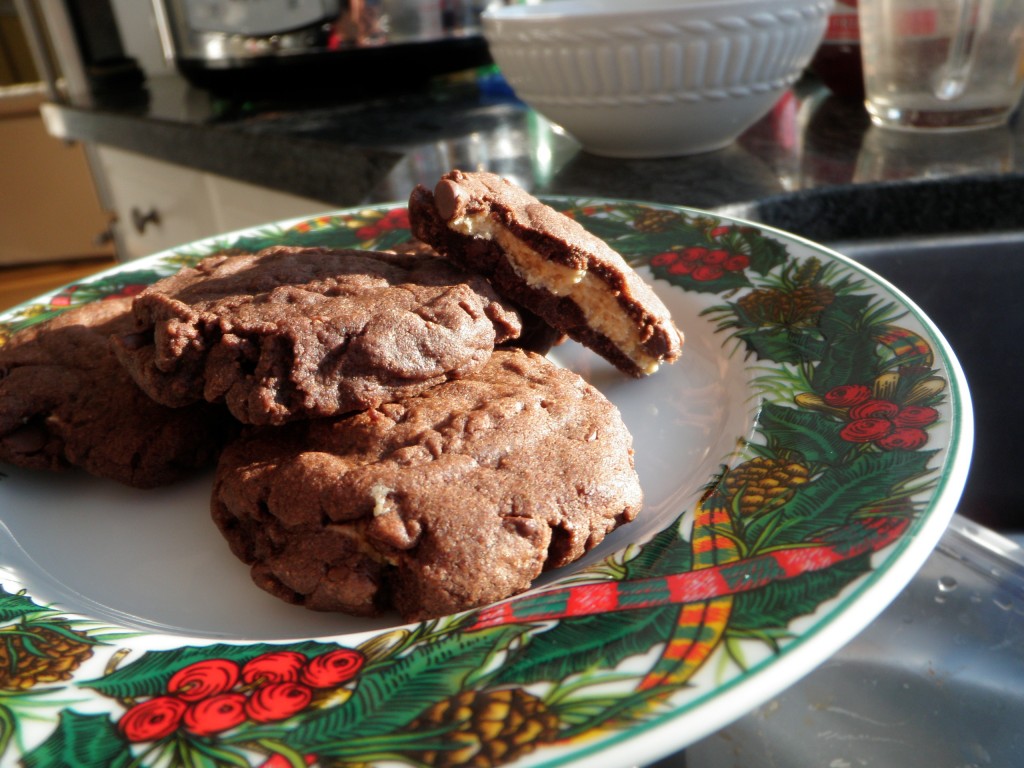 Possibly my favourite cookie recipe of 2010.